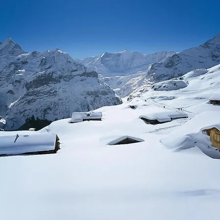 Engelshues By Interhome Apartment Grindelwald
